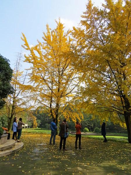 ��üɽ����У�@