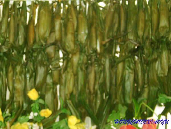 點擊圖片新開窗口查看